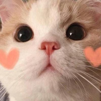 یونس خان avatar