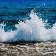 مہوش بخاری avatar