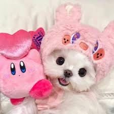 مریم نواز avatar